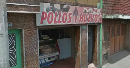 POLLOS Y HUEVOS BOGOTÁ POLLOS Y HUEVOS BOGOTÁ